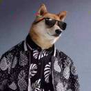 240